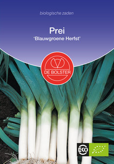 Prei &#039;Blauwgroene Herfst&#039;