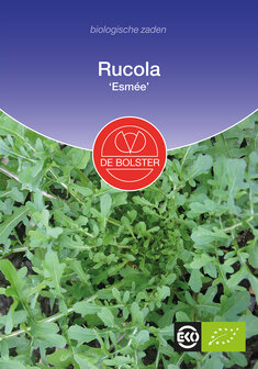 Rucola &#039;Esmee&#039;