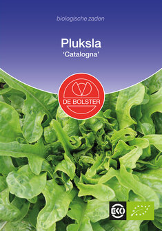 Pluksla &#039;Catalogna&#039;