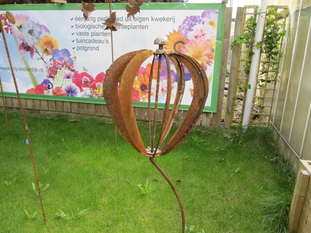 Windspinner Tulp (Merk: Gerry&#039;s Garden)