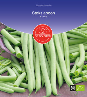 Stokslaboon &#039;Cobra&#039;