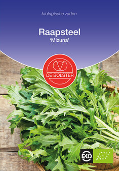 Raapsteel &#039;Mizuna&#039;