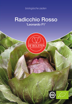 Radicchio Rosso &#039;Leonardo F1&#039;