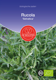 Rucola &#039;Selvatica&#039;