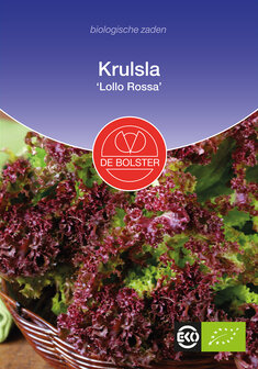 Krulsla &#039;Lollo Rossa&#039;