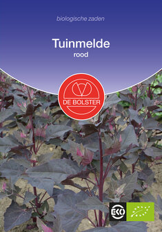 Tuinmelde, rood