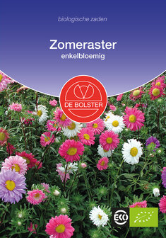 Zomeraster, enkelbloemig