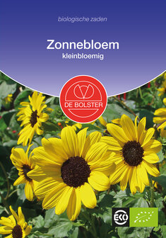 Zonnebloem, kleinbloemig