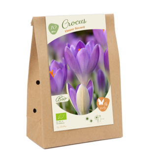 BIO - Crocus Flower Record