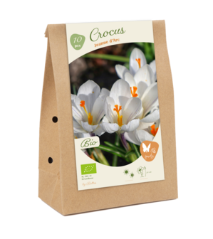 BIO - Crocus Jeanne d&#039;Arc