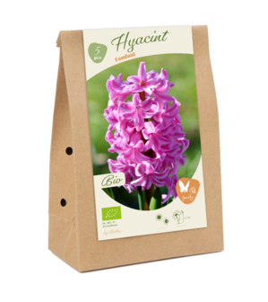 BIO - Hyacinthus, Fondant