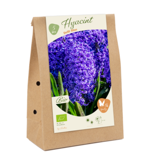 BIO - Hyacinthus, Delft blue