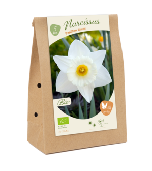 BIO - Narcissus Papillon Blanc