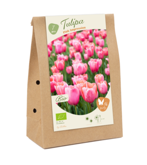 BIO - Tulipa Pink Impression