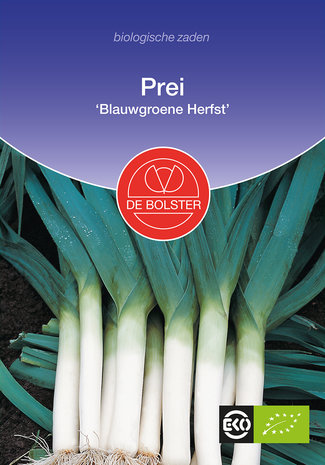 Prei 'Blauwgroene Herfst'