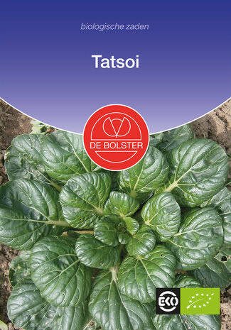 Tatsoi