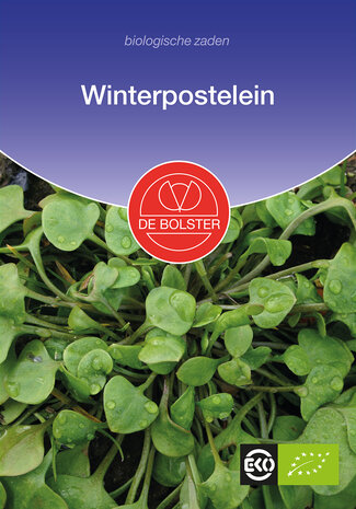 Winterpostelein