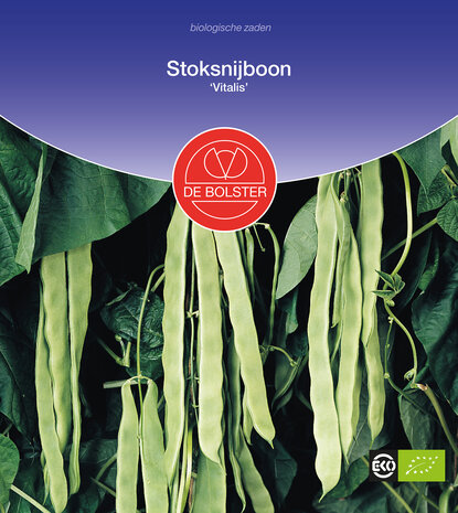 Stoksnijboon 'Vitalis'