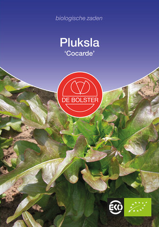 Pluksla 'Cocarde'