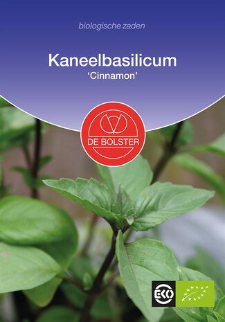 Basilicum-kaneel 'Cinnamon'