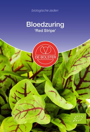 Bloedzuring 'Red Stripe'